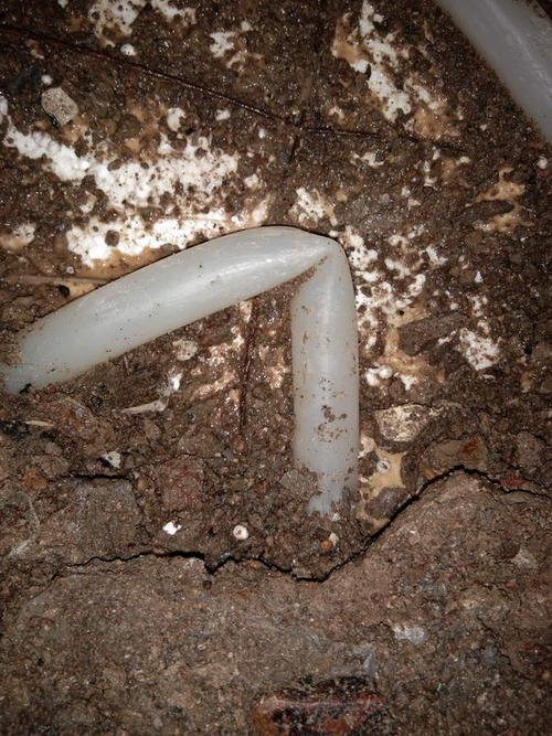 高阳堵点精准查找
